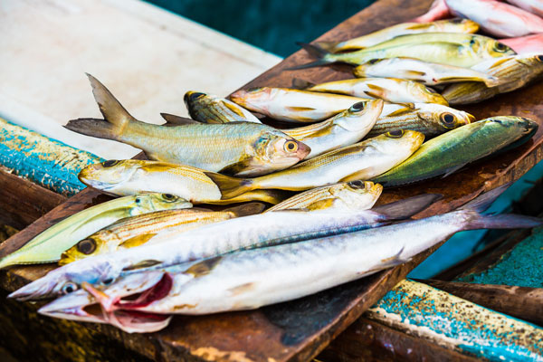 Simply Hooked line-caught fish